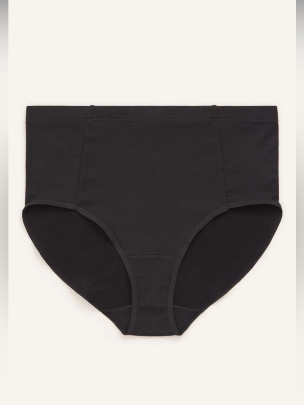 Wooland merino wool Roam high waist bikini brief L or XL